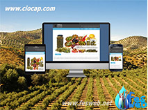 Creation site web responsive pour agence spécialisé dans la vente des olives.
