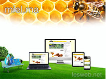 Creation de site web Responsive pour une agence de vente de Miel