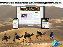 Creation site web responsive pour une agence de voyageur pour les touristes.